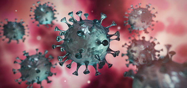 Korona virus